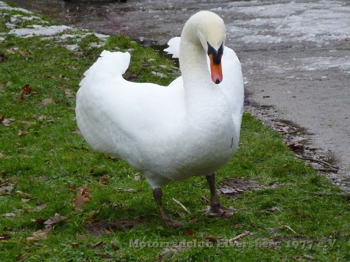 Wandertag 2015 - 017.jpg